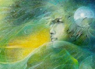 Le Conseil – Voile, Dimensions et autres Descripteurs